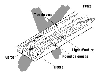 Planche d'échafaudage